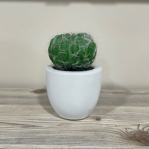 Fake Cactus